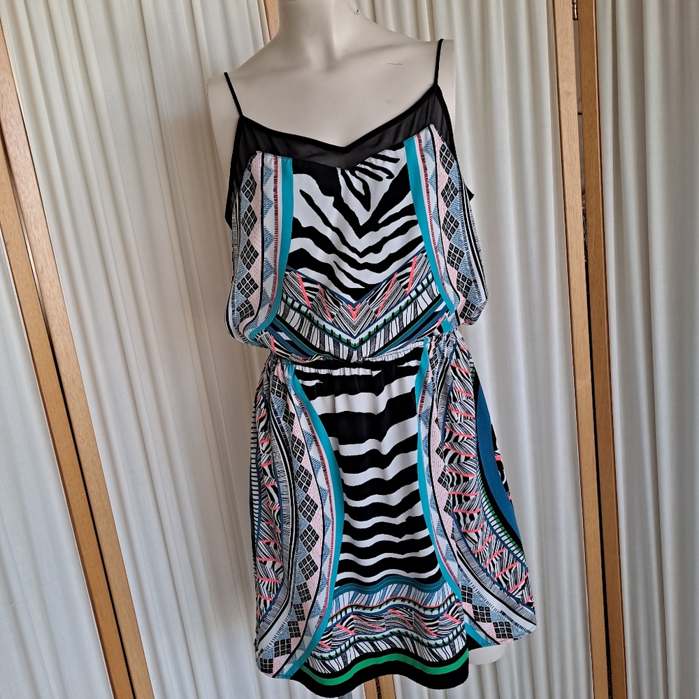 Express spaghetti strap, zebra/Aztec print, fitted waist, above knee dre…